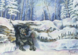 Bear's Seasonal Cigar